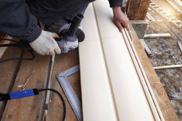 Best Insulated Siding Installation  in Bromley, KY