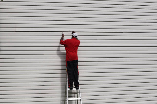 Professional Siding in Bromley, KY